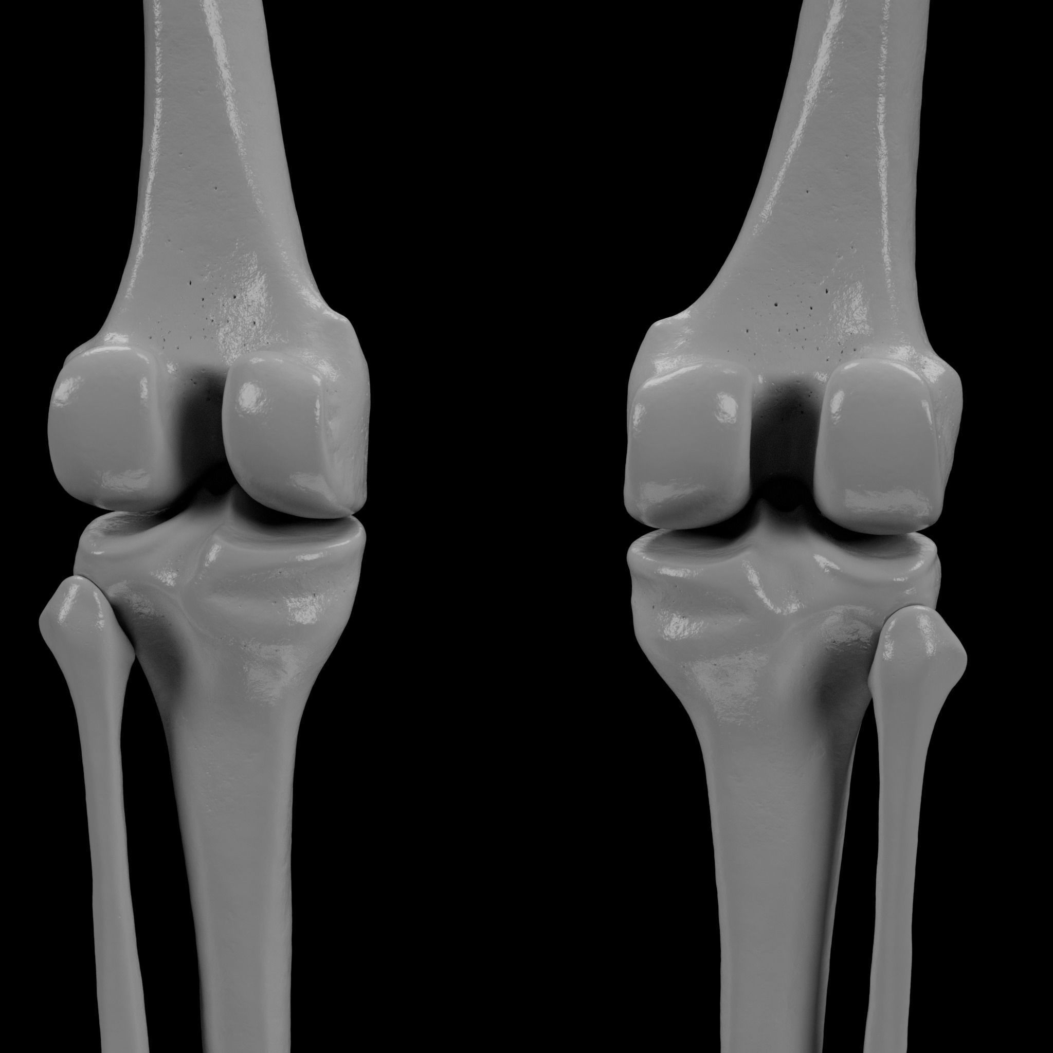 Human Skeleton - 3D Printing 3D print model_135