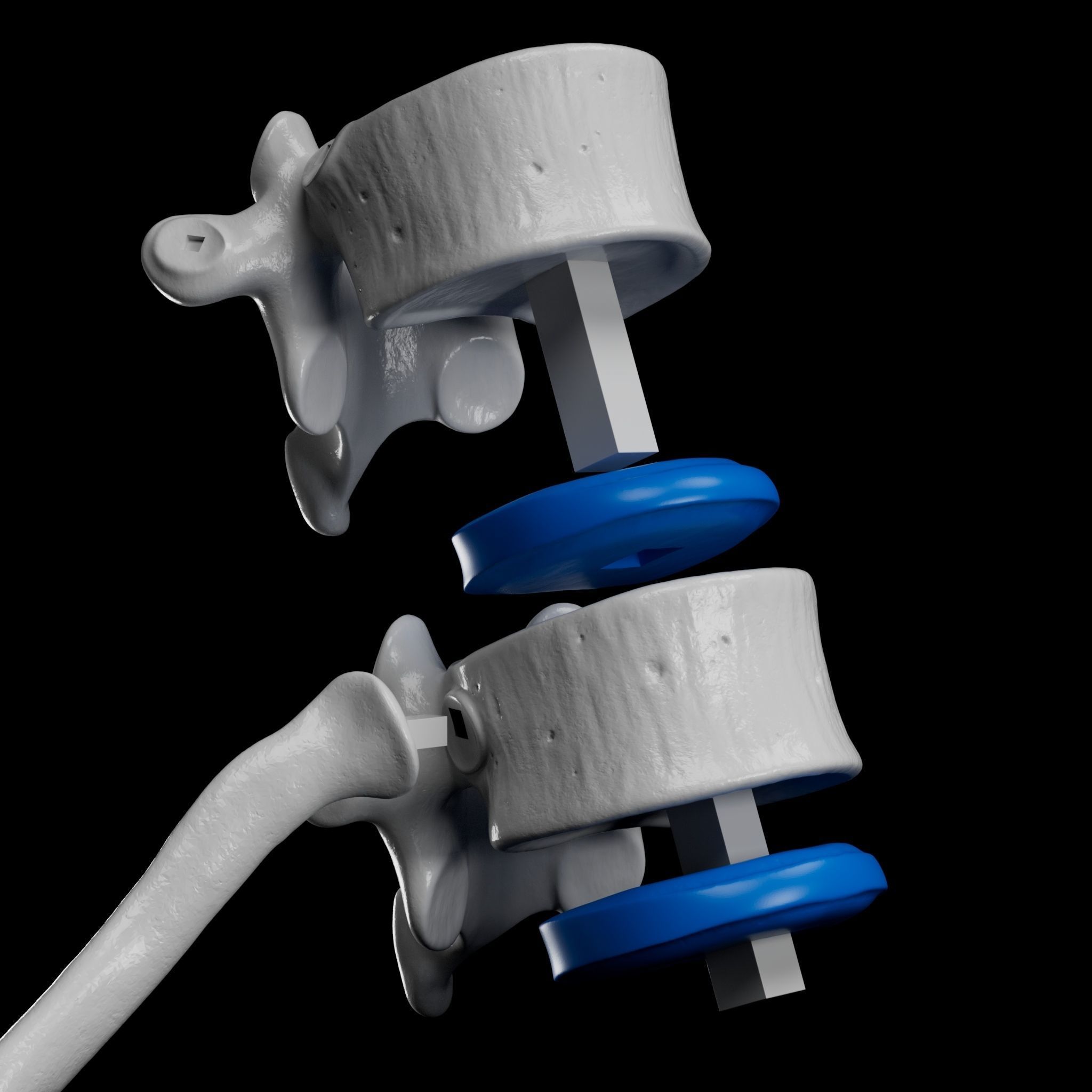 Human Skeleton - 3D Printing 3D print model_2