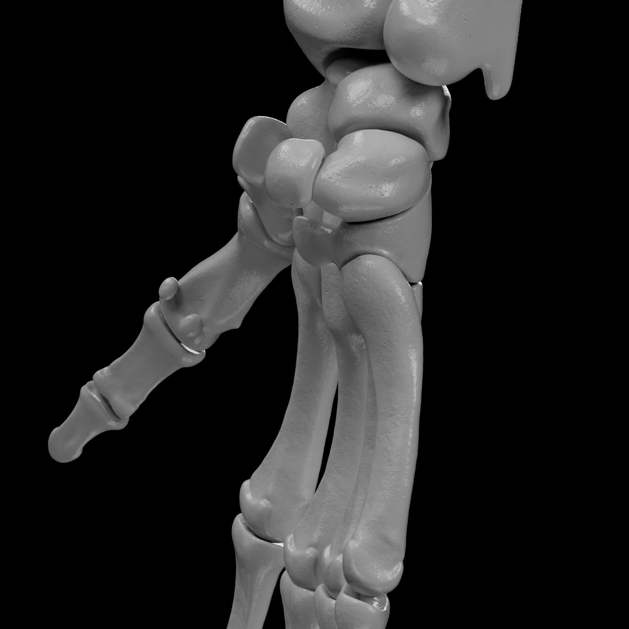 Human Skeleton - 3D Printing 3D print model_96