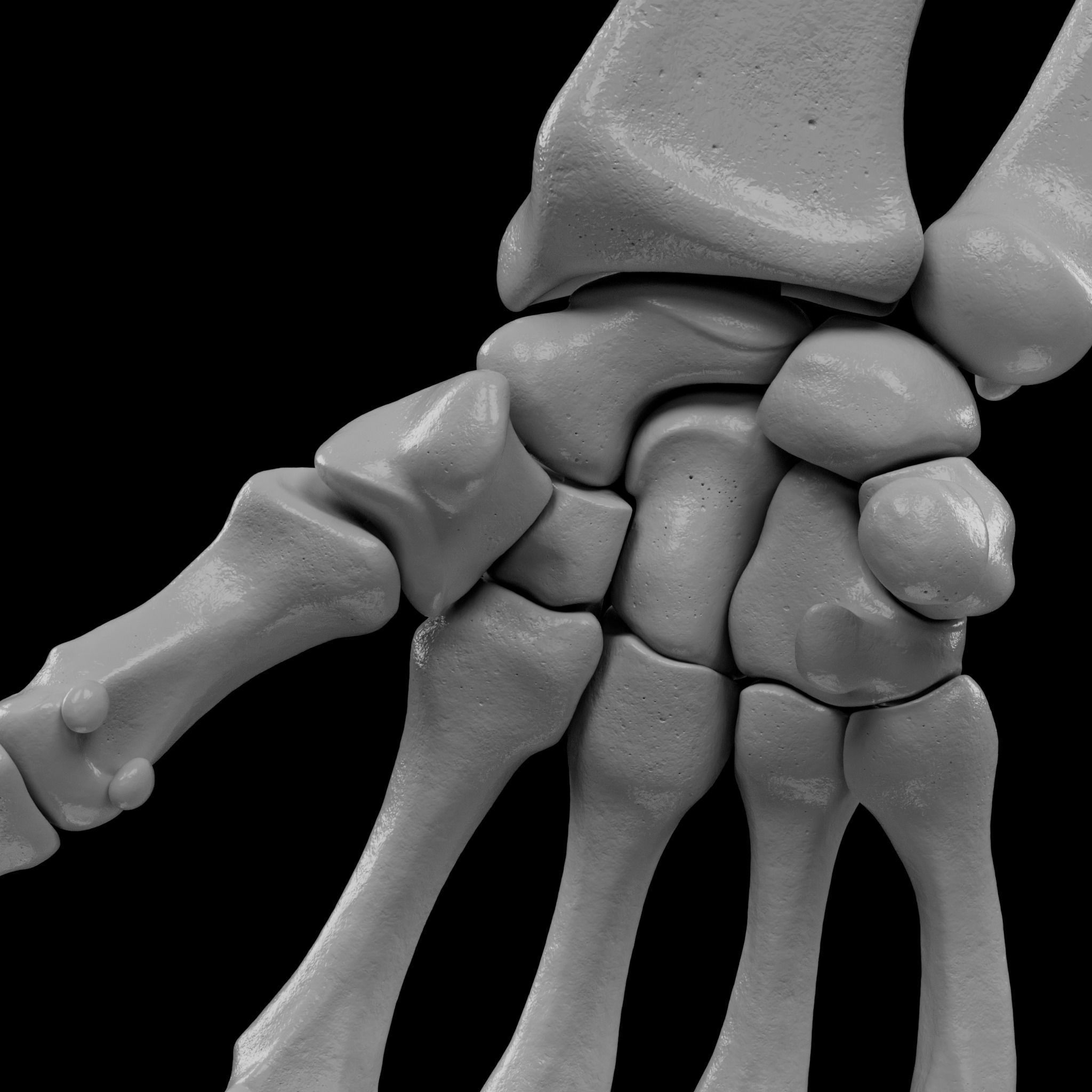 Human Skeleton - 3D Printing 3D print model_127