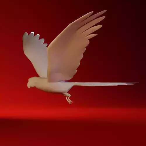 Parrot  3D print model