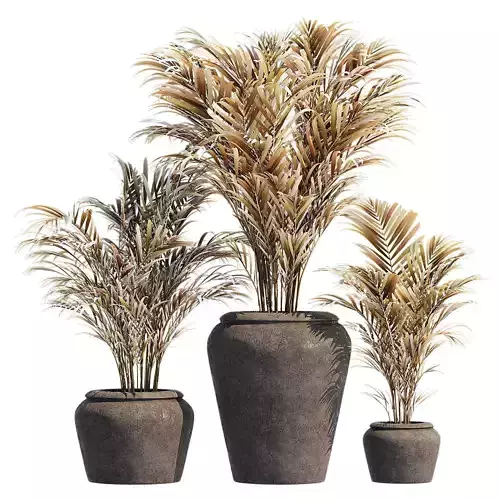 Rustic ficonstone planters