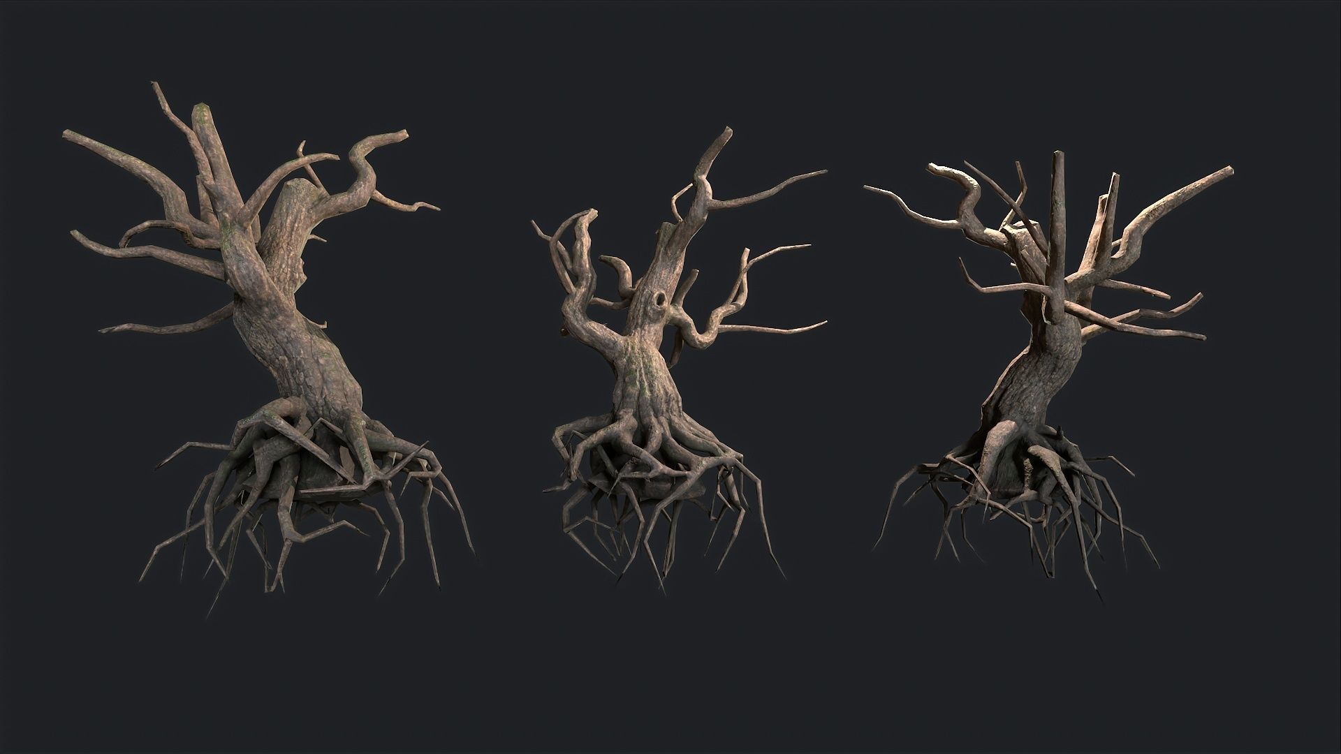 Dead Tree Roots Low-poly 3D model_6