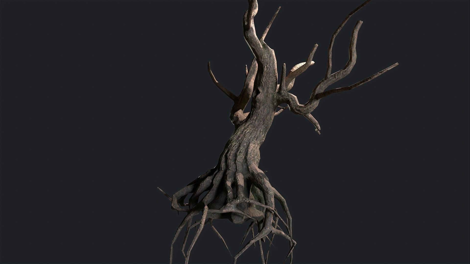 Dead Tree Roots Low-poly 3D model_5