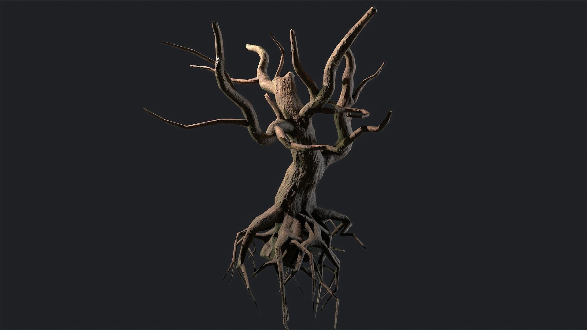 Dead Tree Roots Low-poly 3D model_2