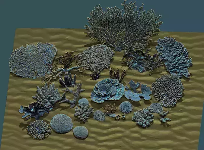 Corals coral 3D print model