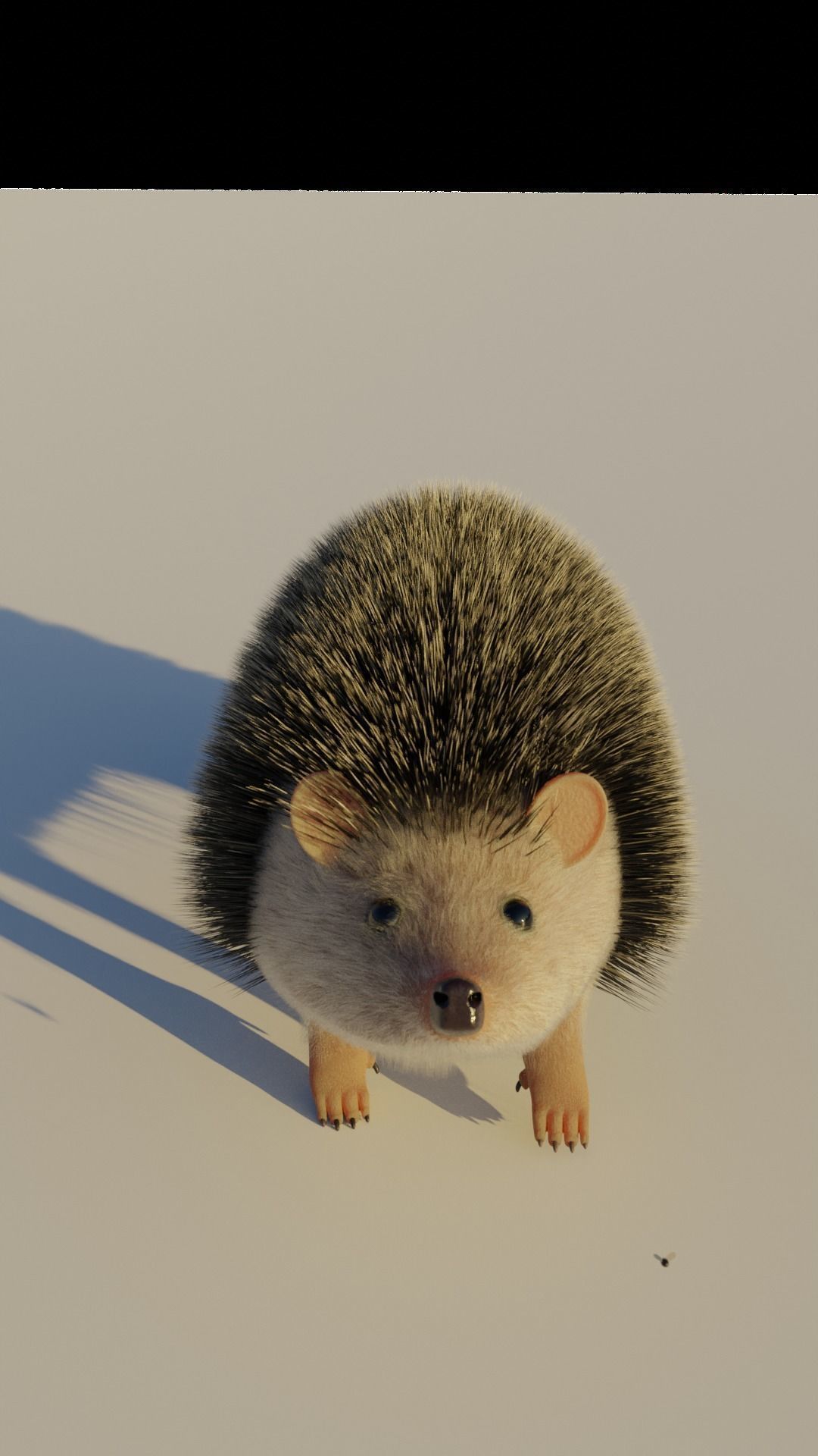 A cute spiny Hedgehog 3D model_4