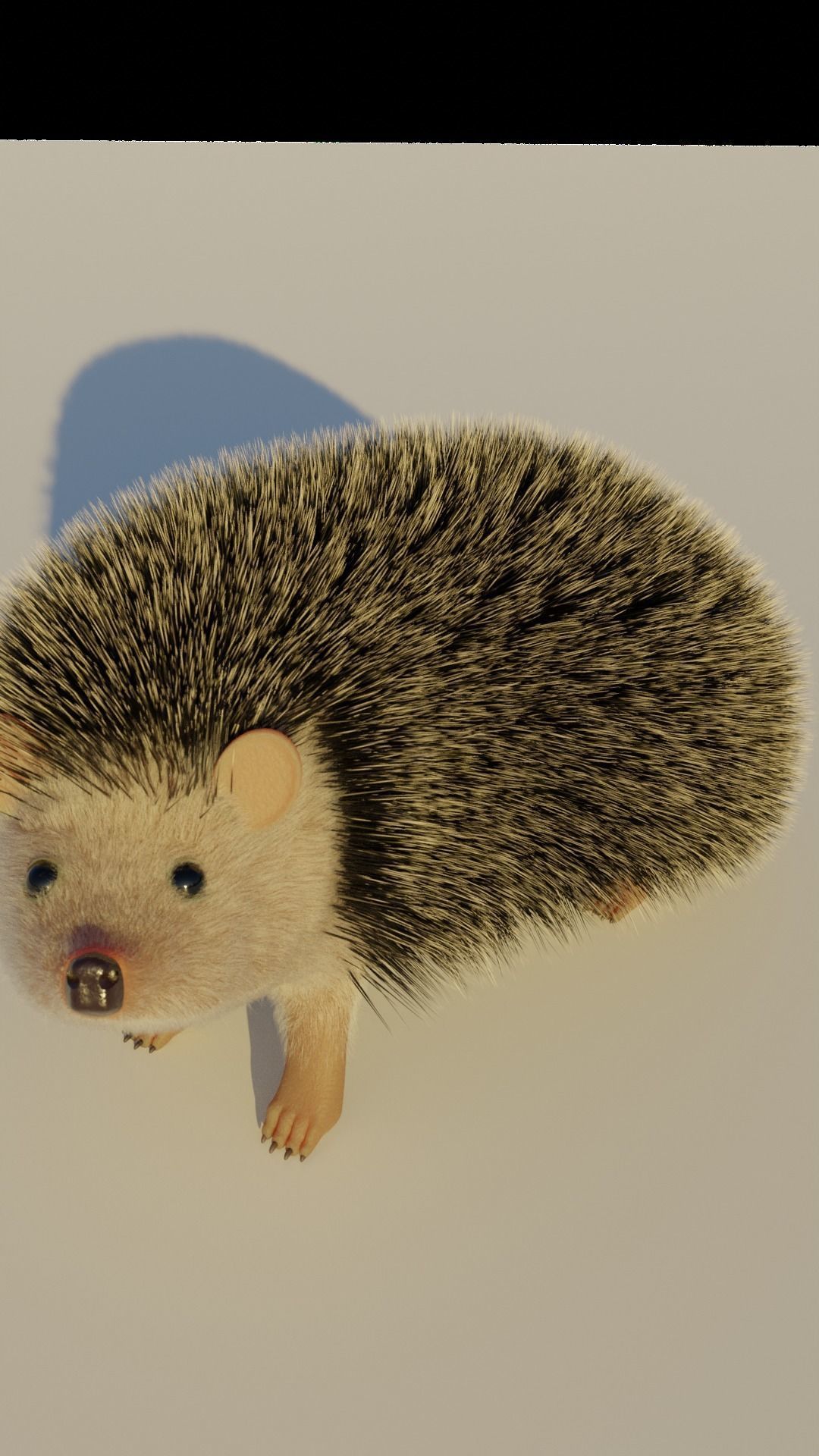 A cute spiny Hedgehog 3D model_7