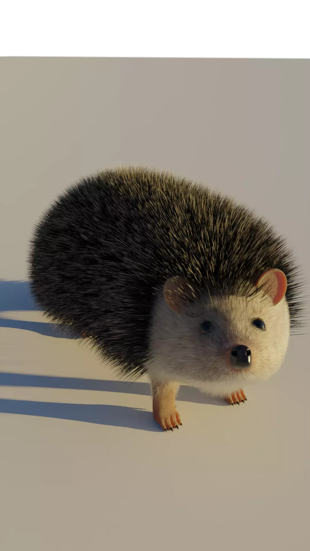 A cute spiny Hedgehog 3D model_0