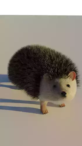 A cute spiny Hedgehog 3D model A cute spiny Hedgehog 3D model