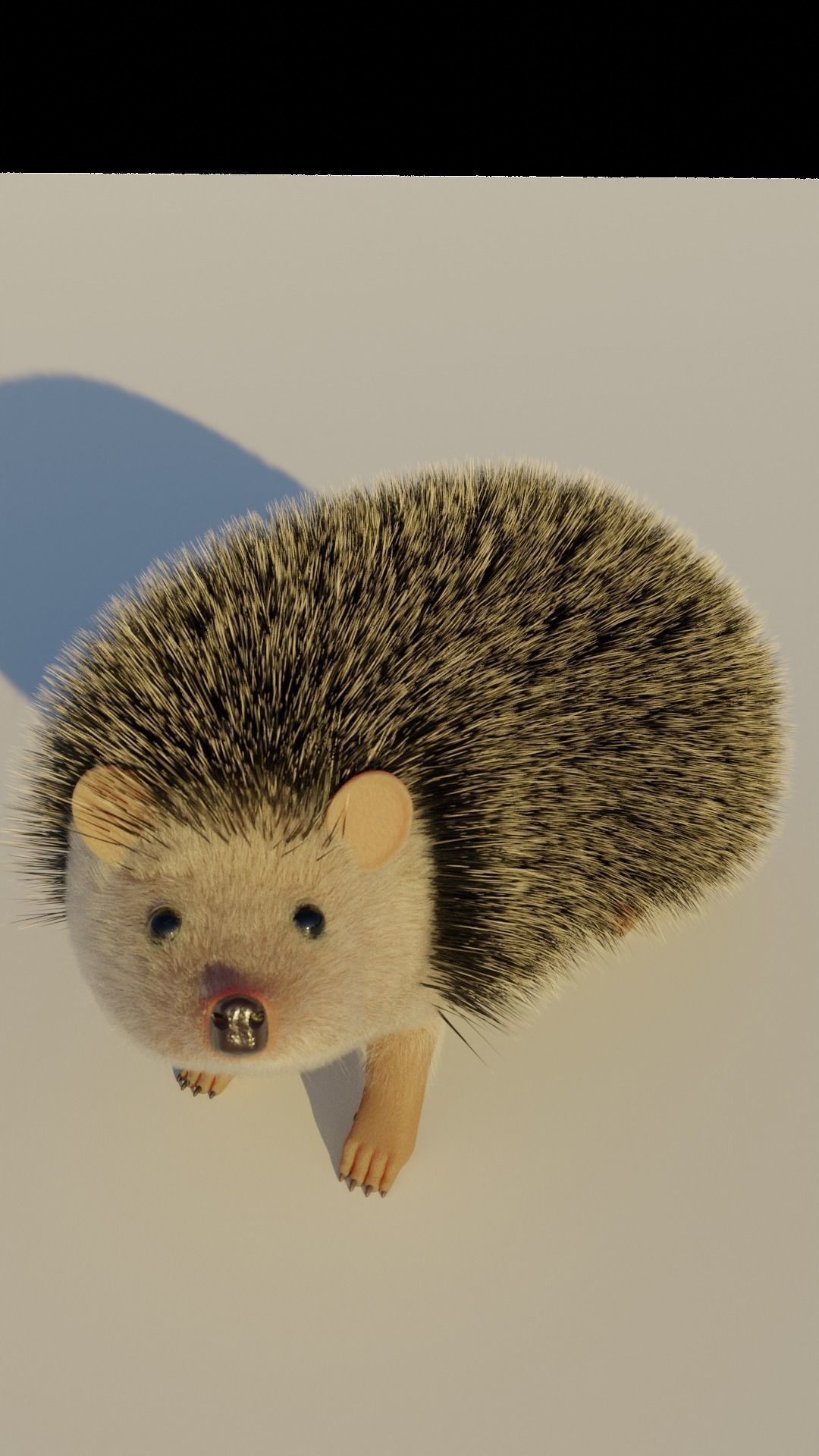 A cute spiny Hedgehog 3D model_6