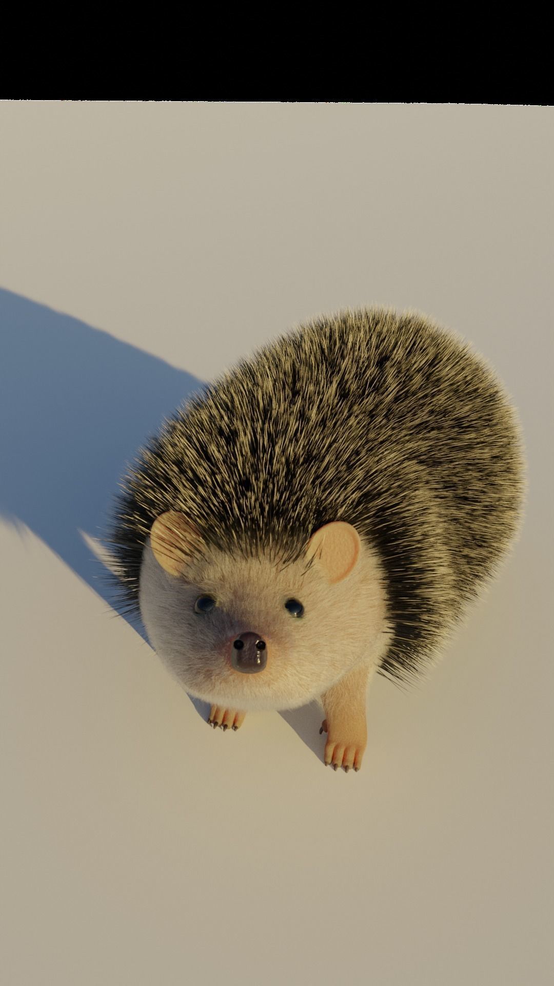 A cute spiny Hedgehog 3D model_5