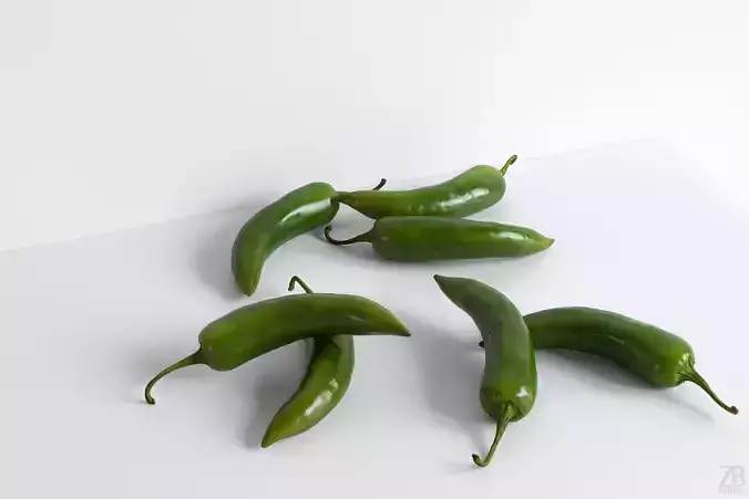 Serrano 3D model