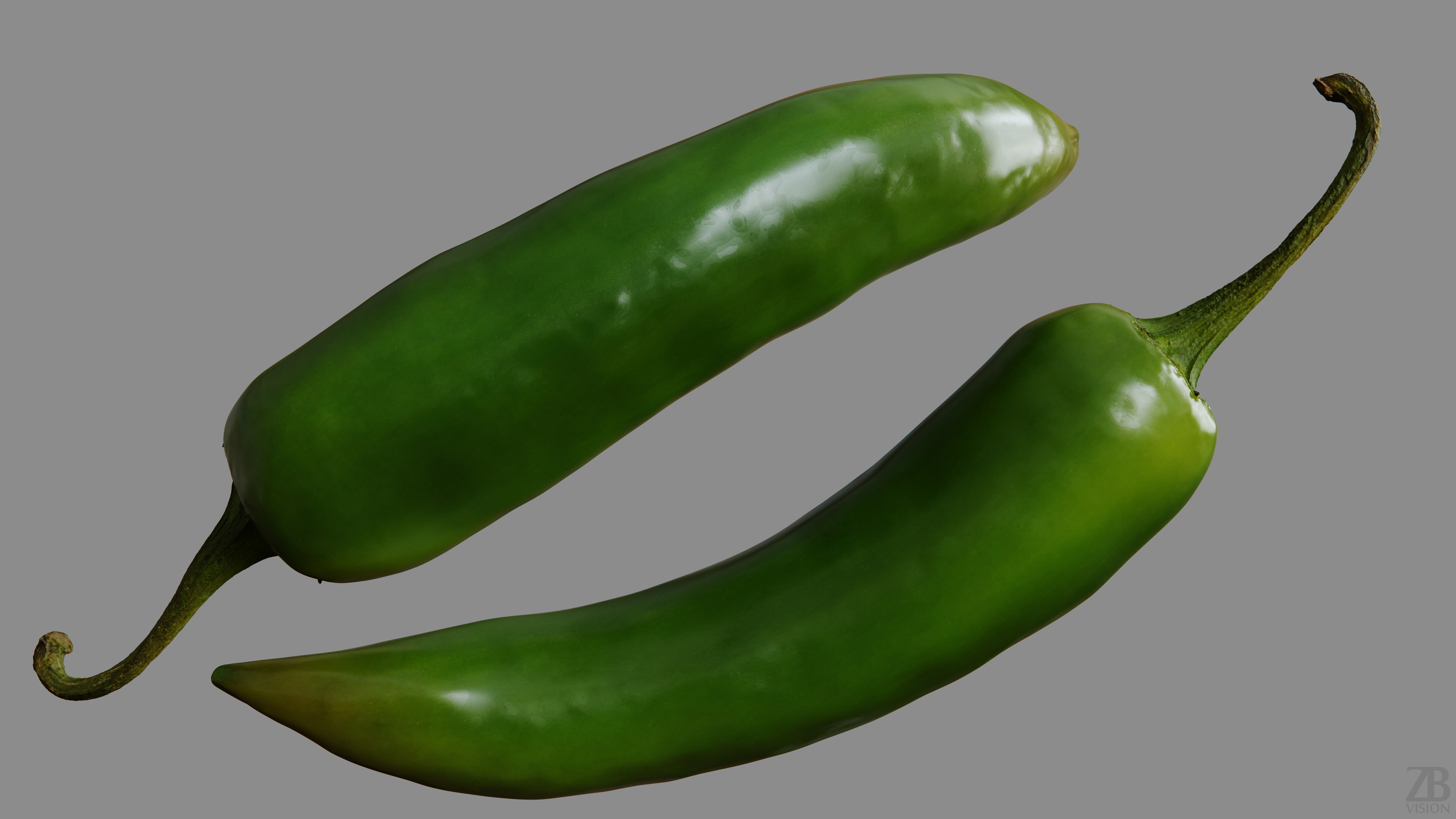 Serrano 3D model_9
