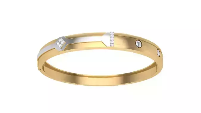 Bangles 3dm STL OBJ FBX Renders details