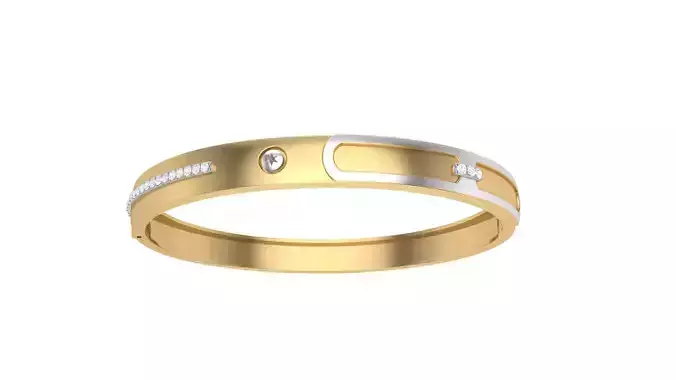 Bangles 3dm STL OBJ FBX Renders details 3D print model