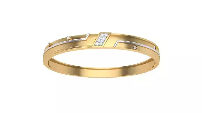 Bangles 3dm STL OBJ FBX Renders details