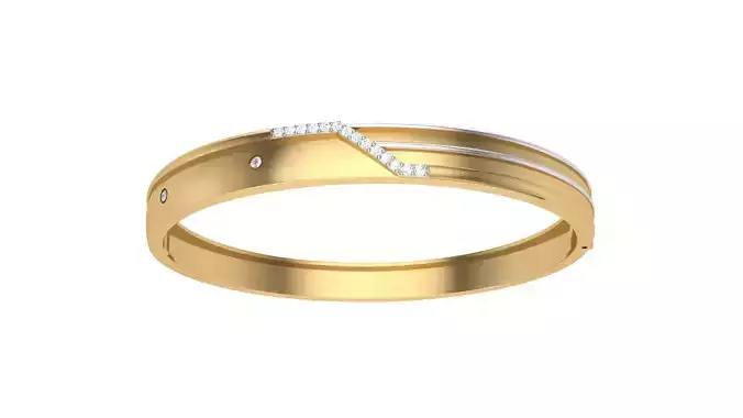 Bangles 3dm STL OBJ FBX Renders details