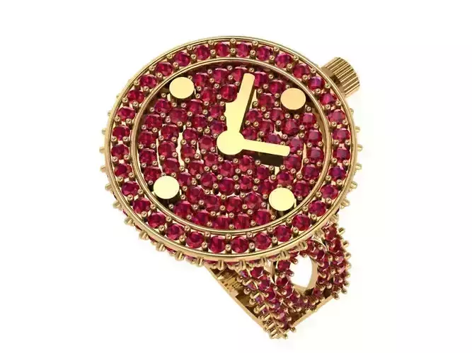 Beautyful watch ring