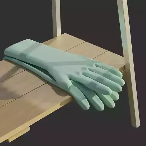 A Pair of Garden Gloves