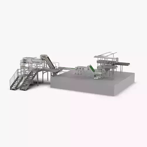 Garlic Sorting and Processing Equipment 3D model
