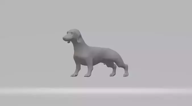 Dachshund Dog