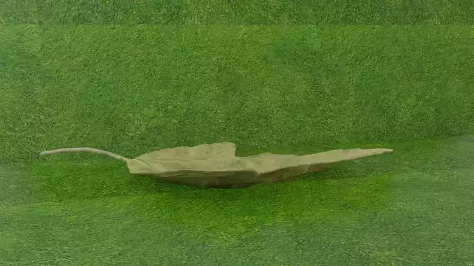 Leaf 3D model lying on grass