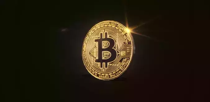 Bit Coin Free low-poly 3D model