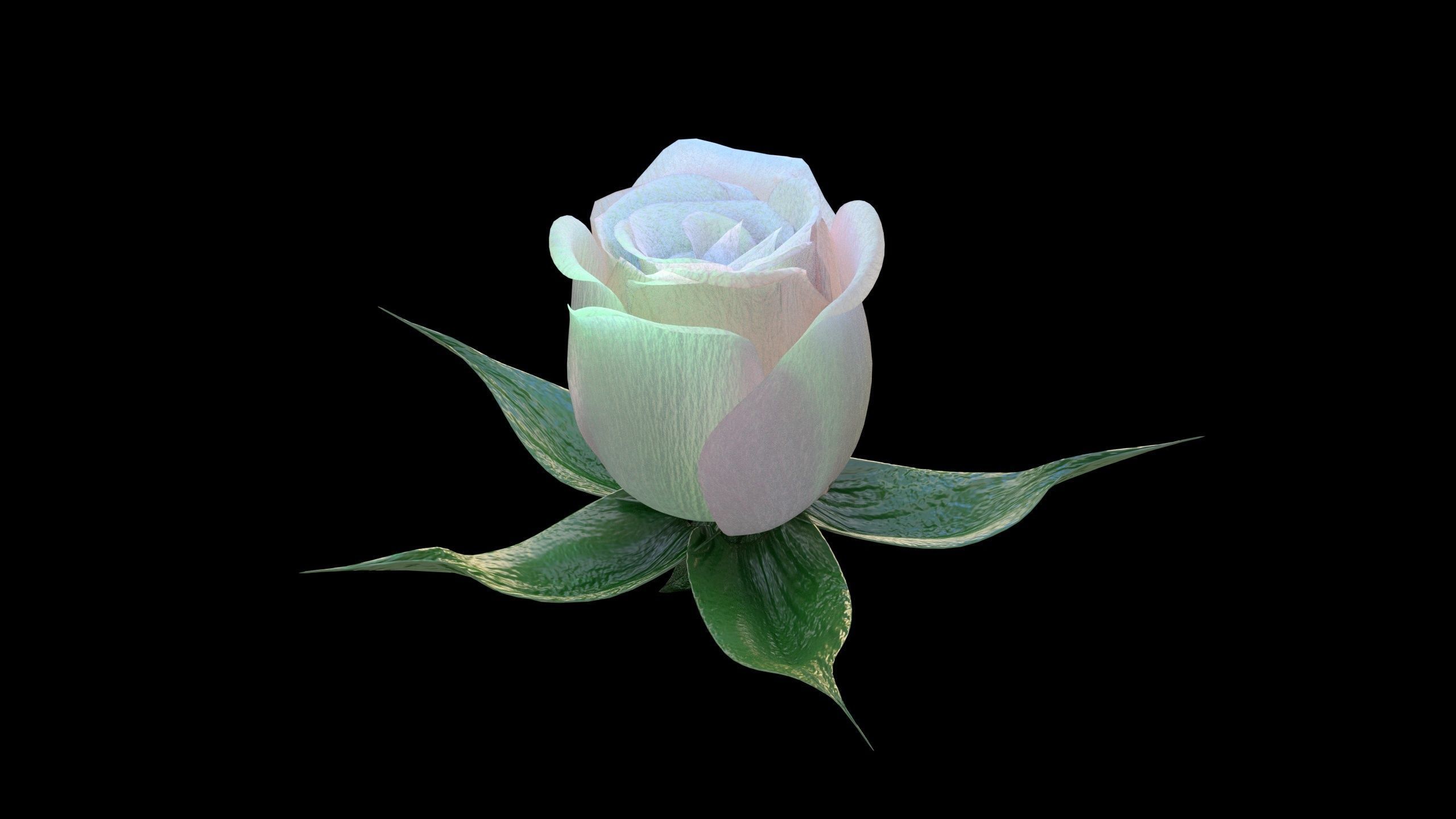 Rose opening animation Glowing Flower Blooming Rose 3D model_4