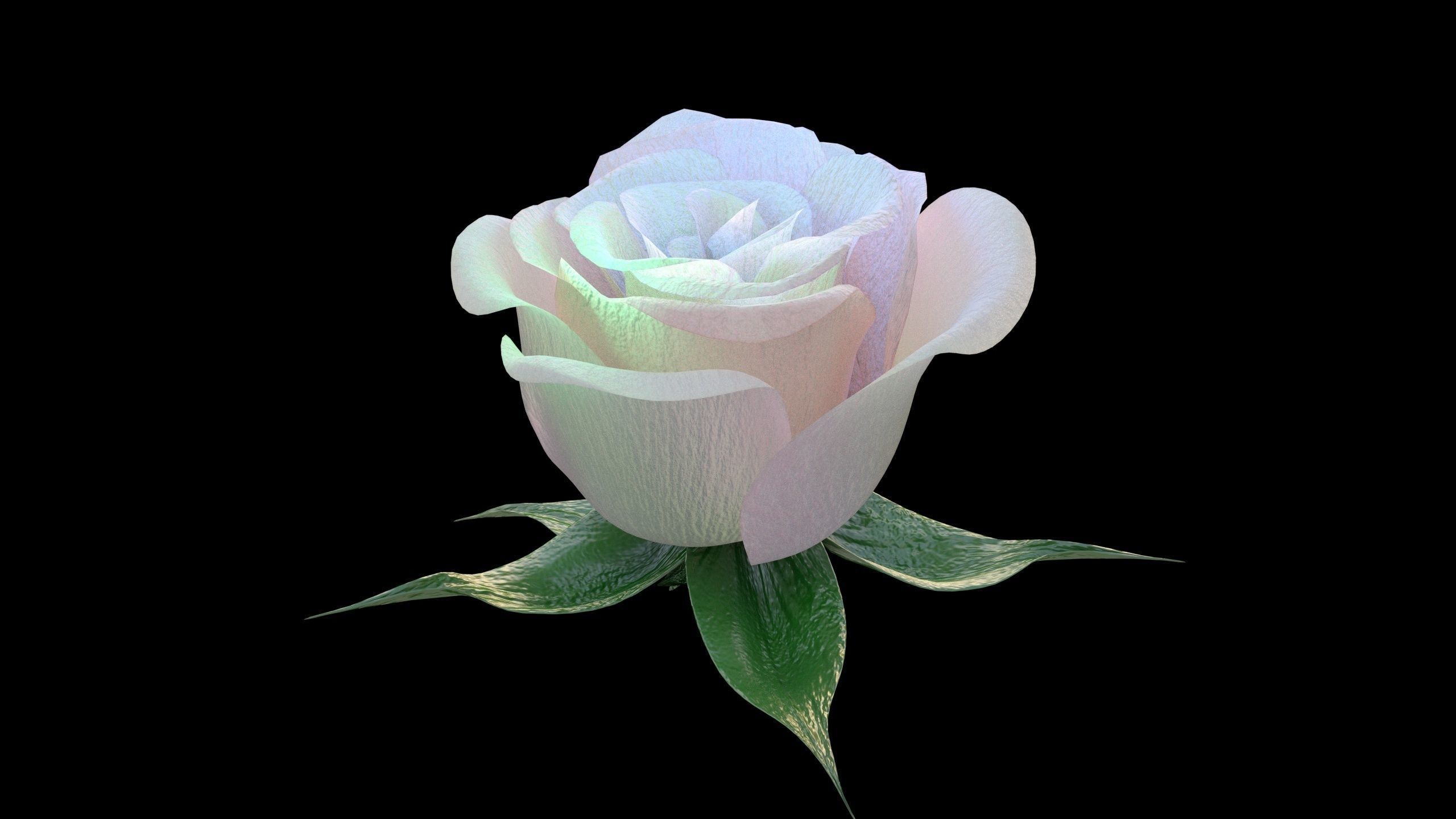 Rose opening animation Glowing Flower Blooming Rose 3D model_3