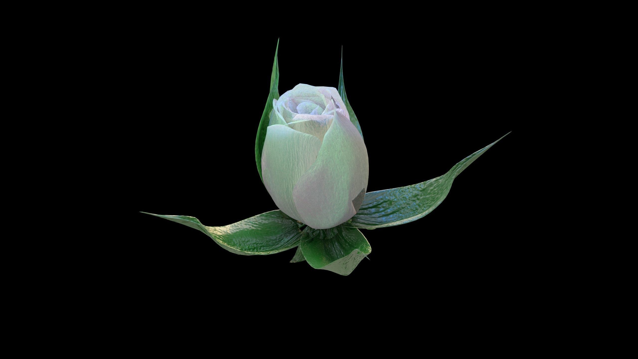 Rose opening animation Glowing Flower Blooming Rose 3D model_5