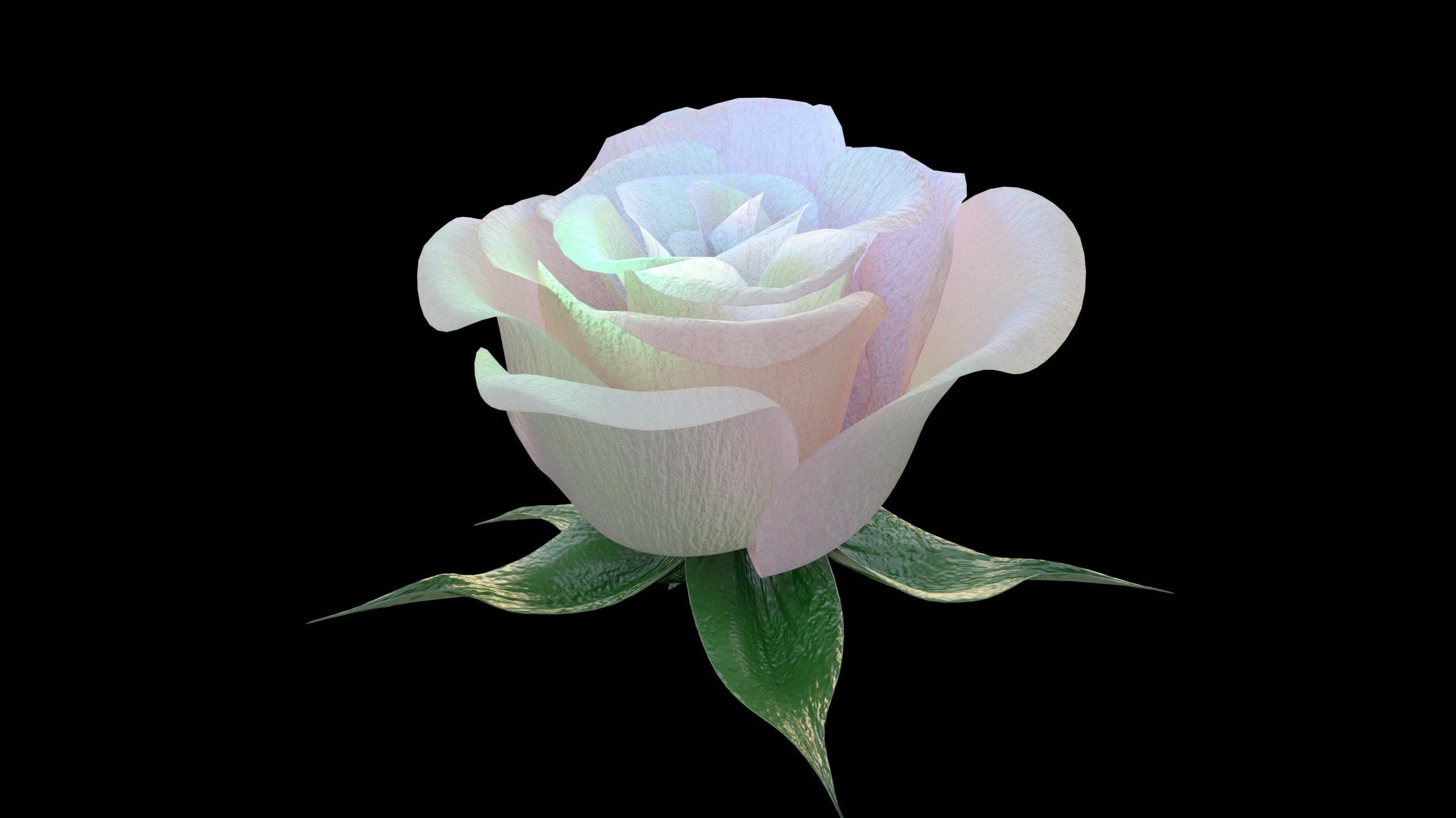 Rose opening animation Glowing Flower Blooming Rose 3D model_2