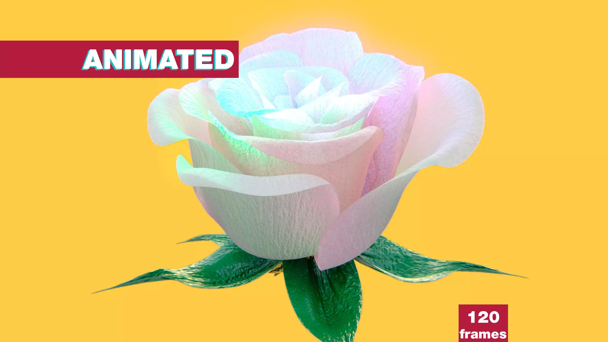 Rose opening animation Glowing Flower Blooming Rose 3D model_0