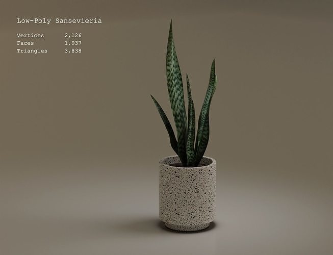 Low-poly Sansevieria air purify tree in white flower pot Low-poly 3D model