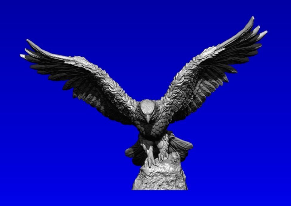Eagle bird flying in sky 3D print model_1