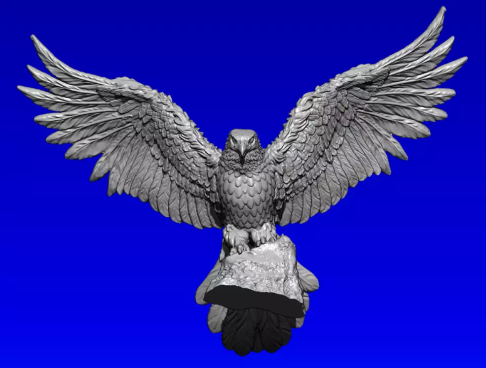Eagle bird flying in sky 3D print model_0