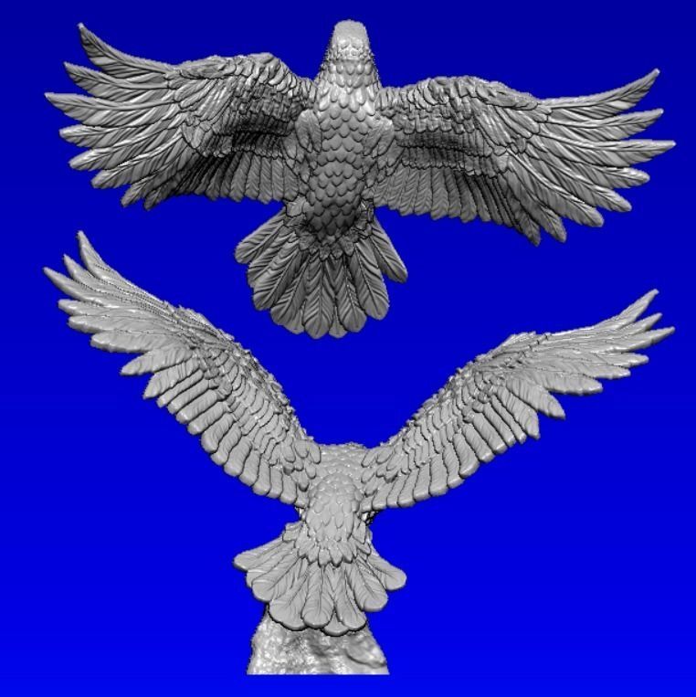 Eagle bird flying in sky 3D print model_4
