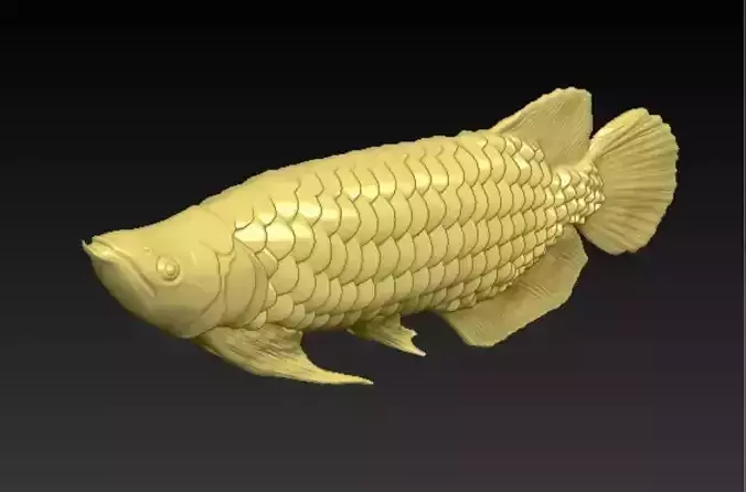 AROWANA DRAGON FISH 3D MODEL - 3Dprint ready 3D print model