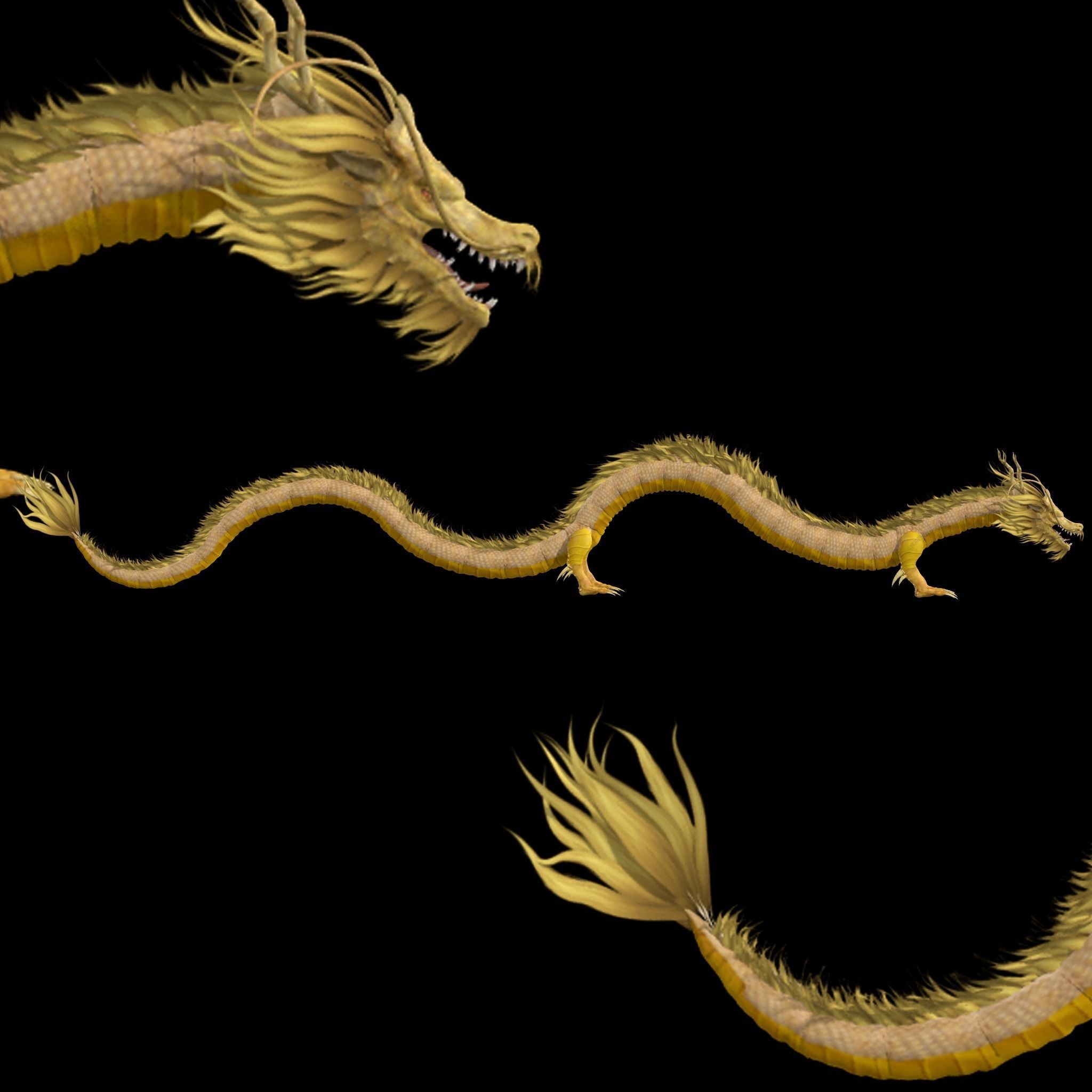  Chinese Dragon Rig 3D model_6