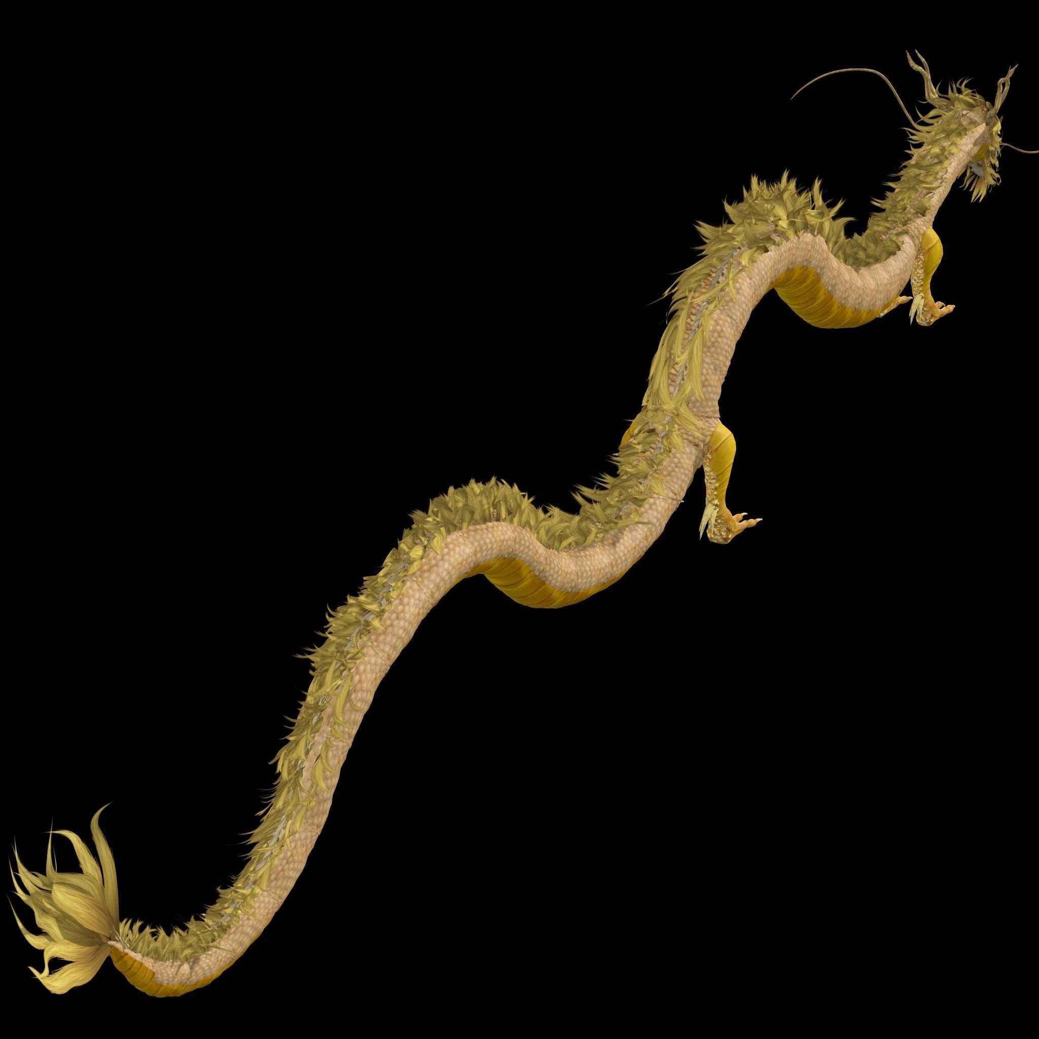  Chinese Dragon Rig 3D model_3
