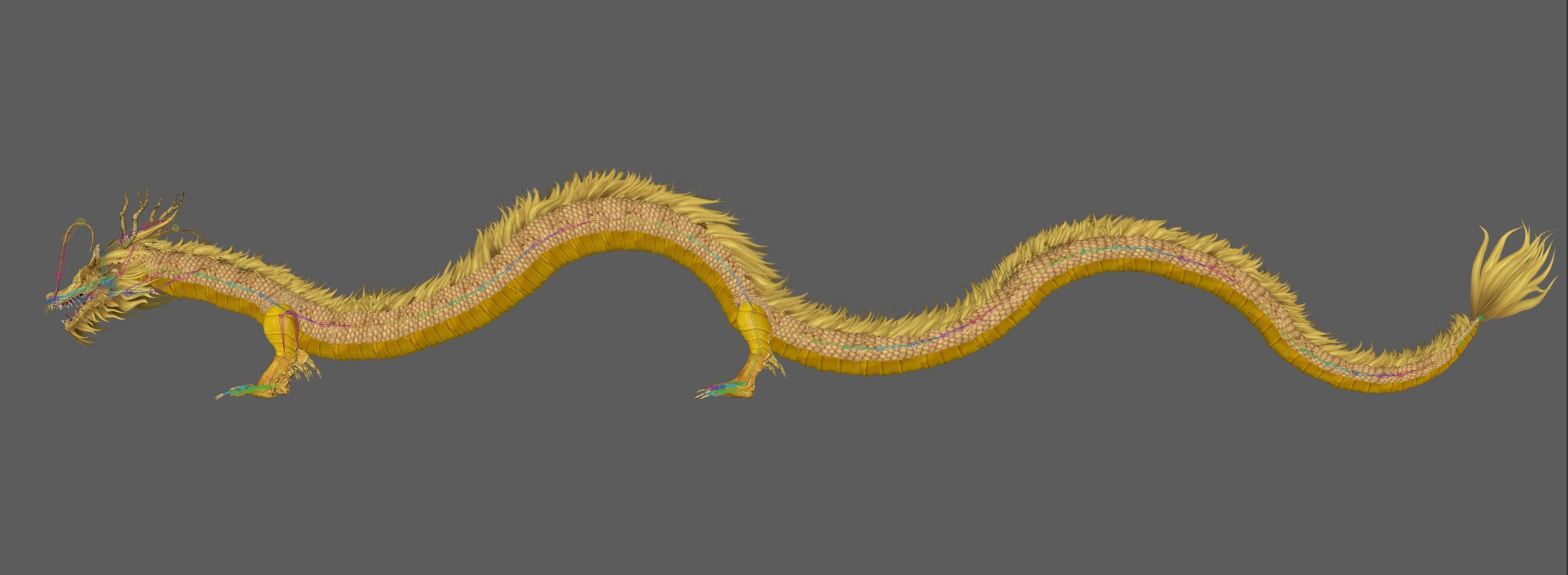  Chinese Dragon Rig 3D model_12