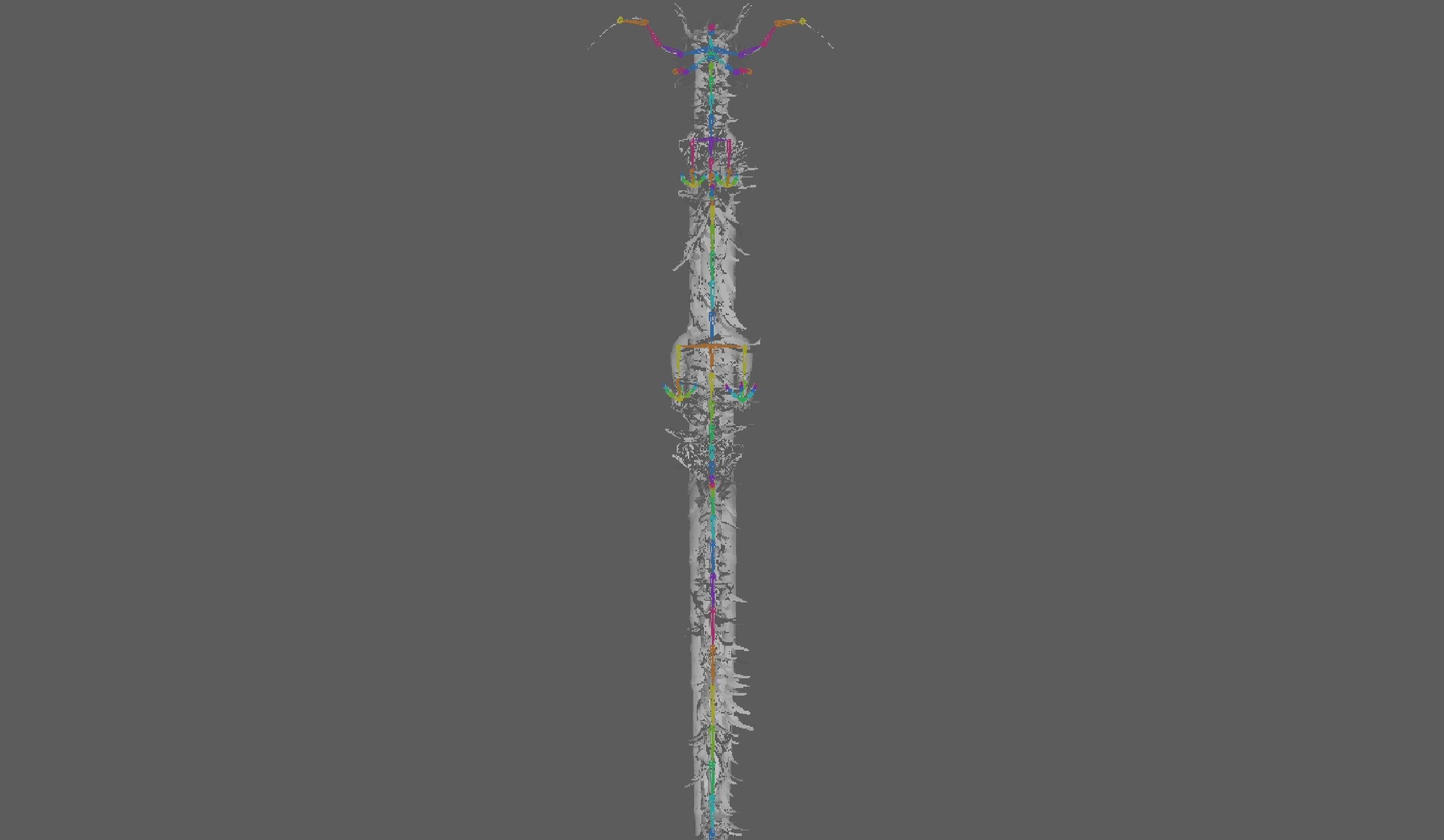  Chinese Dragon Rig 3D model_13