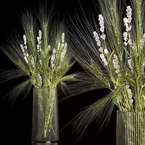Bouquet of green wheat from spikelets and lavender flowers 282 3D model