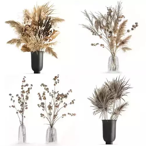 Set of bouquets of dried flowers pampas grass hydrangea 283