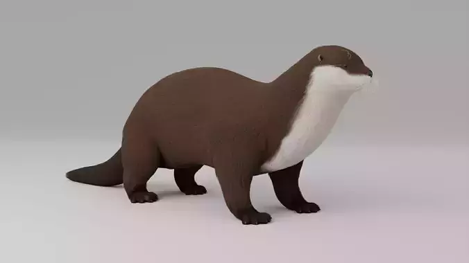 Otter HD