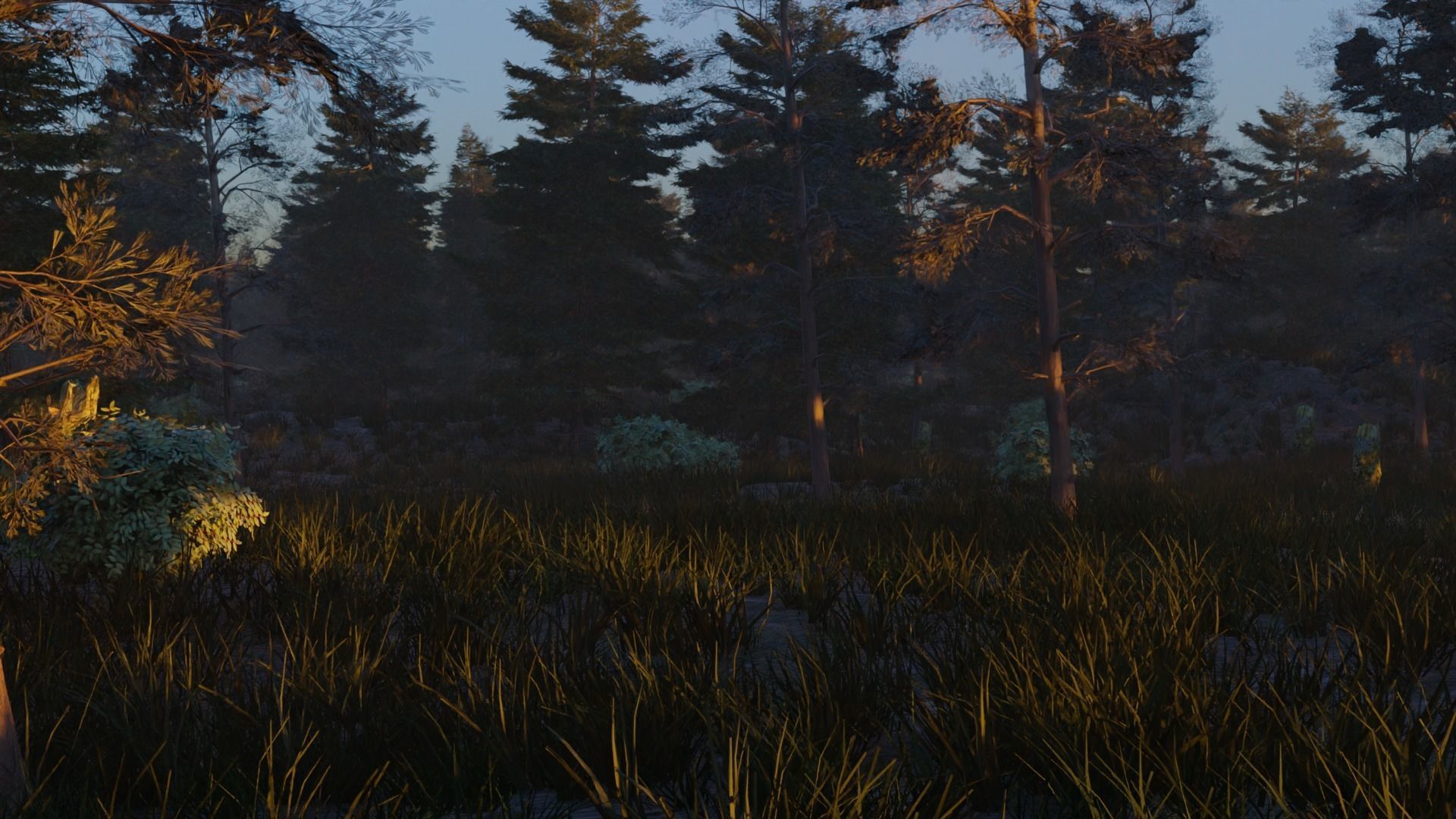 Summer forest 3D model_3