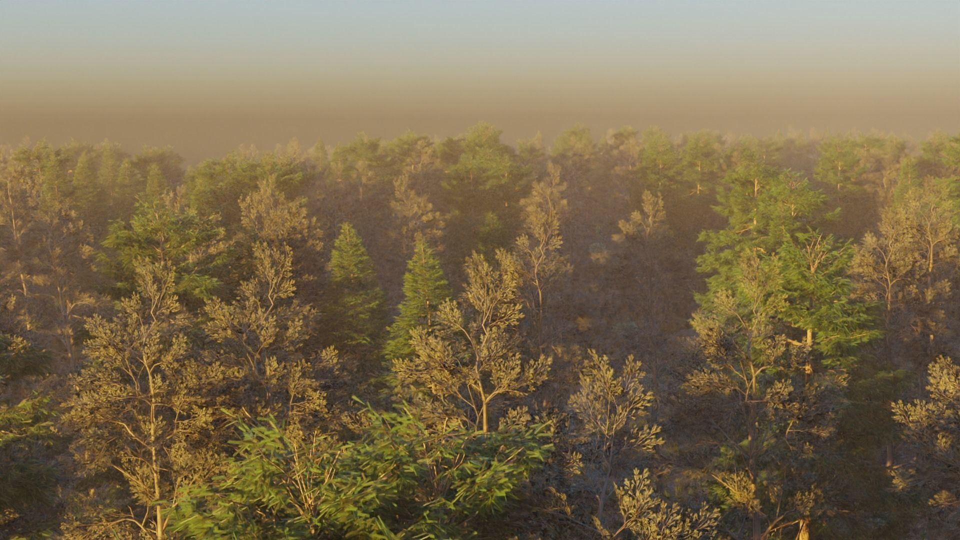 Summer forest 3D model_6