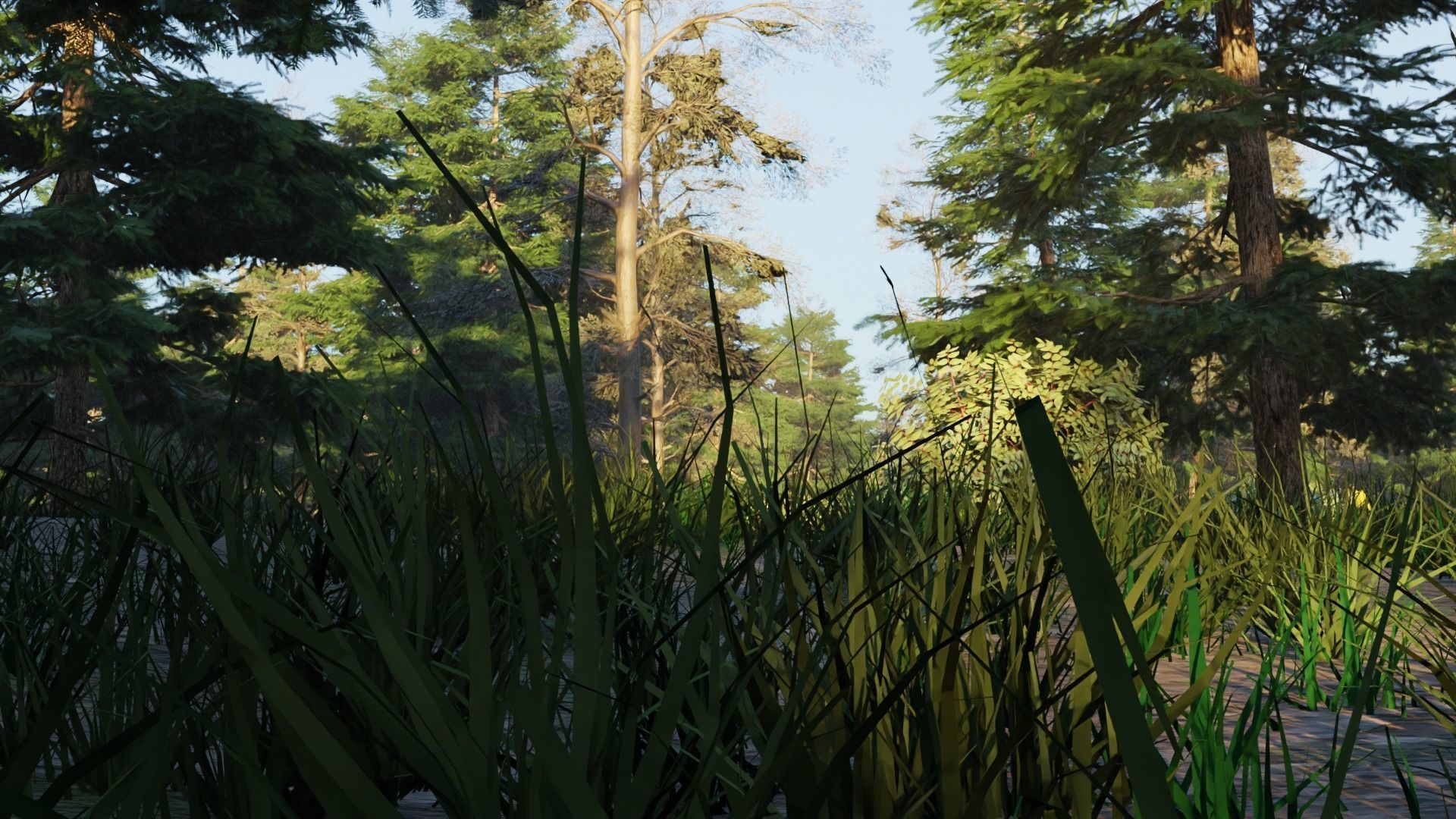 Summer forest 3D model_2