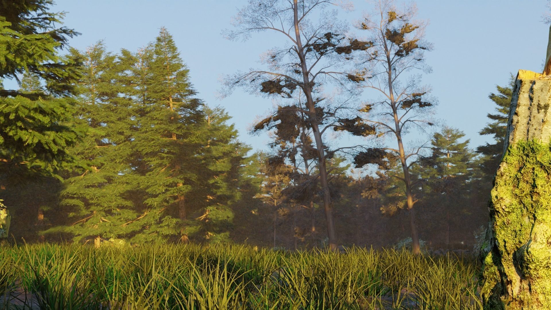 Summer forest 3D model_1