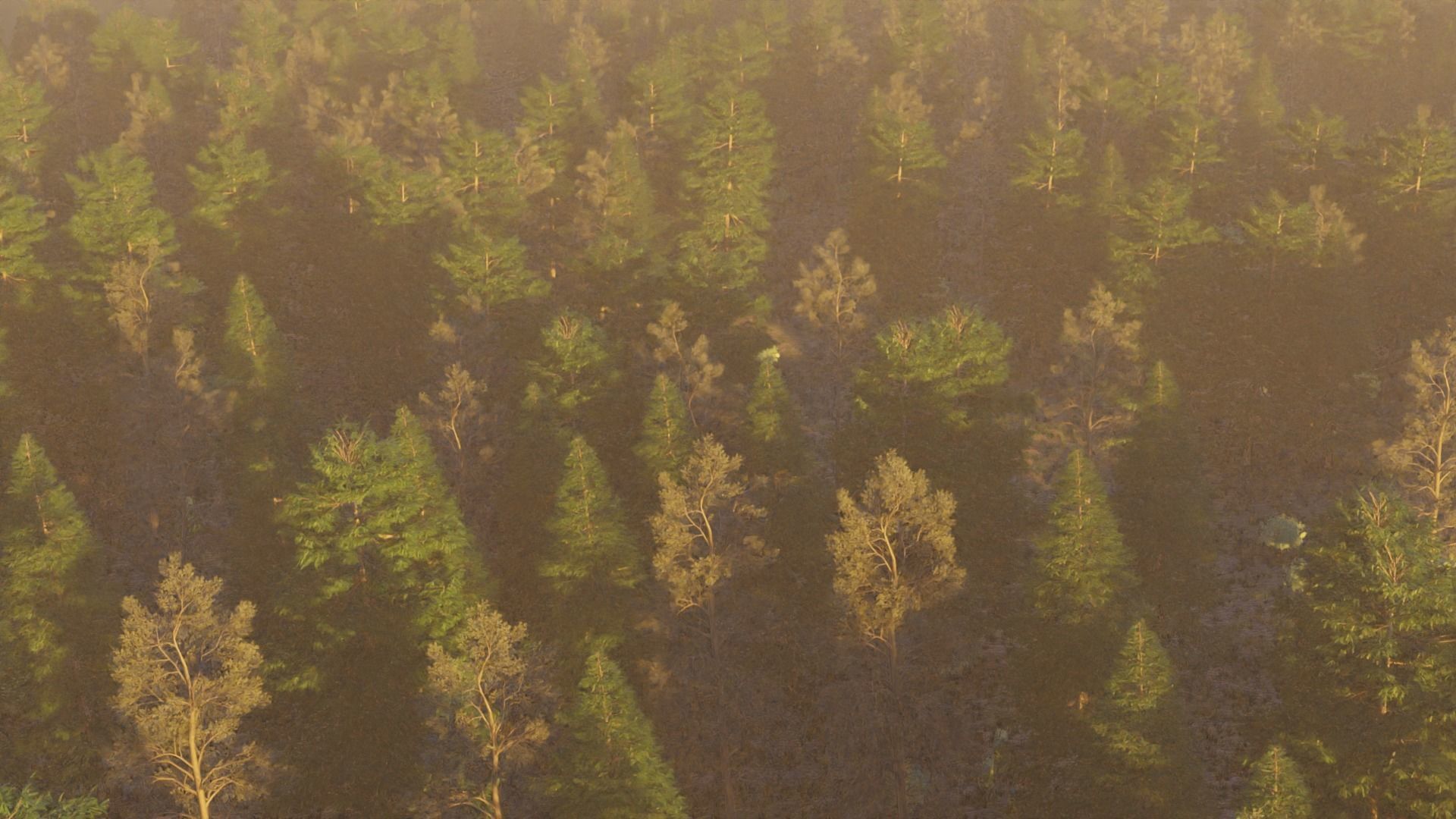 Summer forest 3D model_7